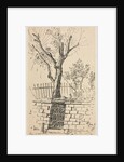 Tree on Top of a Stone Wall, Cleveland by Otto H. Bacher