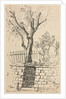 Tree on Top of a Stone Wall, Cleveland by Otto H. Bacher