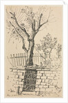 Tree on Top of a Stone Wall, Cleveland by Otto H. Bacher