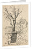 Tree on Top of a Stone Wall, Cleveland by Otto H. Bacher