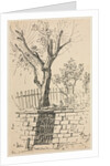 Tree on Top of a Stone Wall, Cleveland by Otto H. Bacher