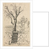 Tree on Top of a Stone Wall, Cleveland by Otto H. Bacher