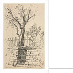 Tree on Top of a Stone Wall, Cleveland by Otto H. Bacher