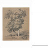 Tree Study, 19th century by Jules Coignet