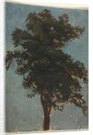 Tree Study, second third 1800s by Alexandre Calame (attributed to)