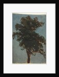 Tree Study, second third 1800s by Alexandre Calame (attributed to)