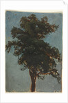 Tree Study, second third 1800s by Alexandre Calame (attributed to)