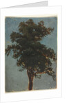 Tree Study, second third 1800s by Alexandre Calame (attributed to)