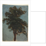 Tree Study, second third 1800s by Alexandre Calame (attributed to)