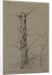 Tree, c. 1835-45 by Ludwig Ferdinand Schnorr von Carolsfeld