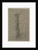 Tree, c. 1835-45 by Ludwig Ferdinand Schnorr von Carolsfeld