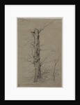 Tree, c. 1835-45 by Ludwig Ferdinand Schnorr von Carolsfeld