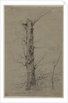 Tree, c. 1835-45 by Ludwig Ferdinand Schnorr von Carolsfeld