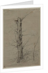 Tree, c. 1835-45 by Ludwig Ferdinand Schnorr von Carolsfeld