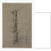 Tree, c. 1835-45 by Ludwig Ferdinand Schnorr von Carolsfeld