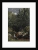 Trees and a Stream on a Hillside, 1853 by Jasper F. Cropsey