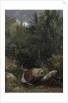 Trees and a Stream on a Hillside, 1853 by Jasper F. Cropsey