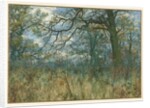 Trees and Undergrowth, 1885 by Garden William Fraser