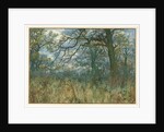Trees and Undergrowth, 1885 by Garden William Fraser