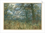 Trees and Undergrowth, 1885 by Garden William Fraser