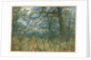 Trees and Undergrowth, 1885 by Garden William Fraser