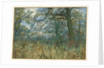 Trees and Undergrowth, 1885 by Garden William Fraser