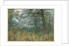 Trees and Undergrowth, 1885 by Garden William Fraser