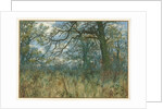 Trees and Undergrowth, 1885 by Garden William Fraser