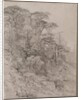 Trees of a Rocky Hillside, late 1800s by Gustave Achille Guillaumet