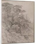 Trees of a Rocky Hillside, late 1800s by Gustave Achille Guillaumet