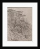 Trees of a Rocky Hillside, late 1800s by Gustave Achille Guillaumet