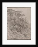 Trees of a Rocky Hillside, late 1800s by Gustave Achille Guillaumet