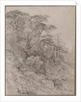 Trees of a Rocky Hillside, late 1800s by Gustave Achille Guillaumet
