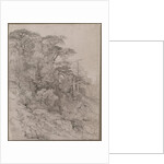 Trees of a Rocky Hillside, late 1800s by Gustave Achille Guillaumet