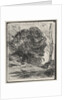 Trees on the Mountain, original impression 1856, printed in 1921 by Jean Baptiste Camille Corot