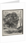 Trees on the Mountain, original impression 1856, printed in 1921 by Jean Baptiste Camille Corot