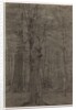 Trees by Leopold Bode