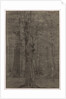 Trees by Leopold Bode