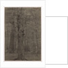 Trees by Leopold Bode