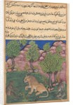 Tuti-Nama: Tale XXVIII: The Monkey Advises the Suspicious Lion…, c. 1560 by Unknown