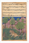 Tuti-Nama: Tale XXVIII: The Monkey Advises the Suspicious Lion…, c. 1560 by Unknown