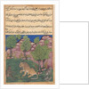 Tuti-Nama: Tale XXVIII: The Monkey Advises the Suspicious Lion…, c. 1560 by Unknown