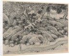 Twelve Views of Tiger Hill, Suchou: The Fool's Spring, after 1490 by Shen Zhou