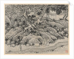 Twelve Views of Tiger Hill, Suchou: The Fool's Spring, after 1490 by Shen Zhou