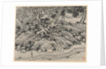 Twelve Views of Tiger Hill, Suchou: The Fool's Spring, after 1490 by Shen Zhou
