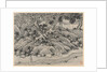 Twelve Views of Tiger Hill, Suchou: The Fool's Spring, after 1490 by Shen Zhou