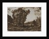 Two Boatmen in a Marsh near a Cluster of Trees, c. 1857 by Henri-Joseph-Constant Dutilleux