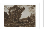 Two Boatmen in a Marsh near a Cluster of Trees, c. 1857 by Henri-Joseph-Constant Dutilleux