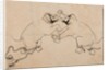 Two Elephants in Combat, early 1700s by Unknown