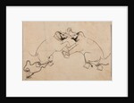 Two Elephants in Combat, early 1700s by Unknown